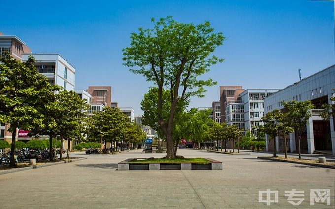 江苏电子信息职业学院-树