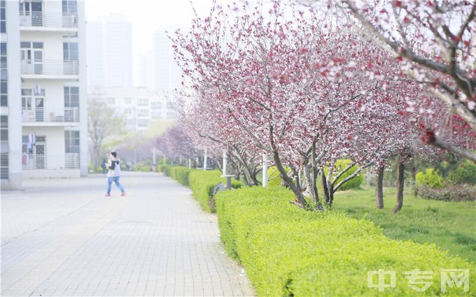 河南推拿职业学院-校园风光5