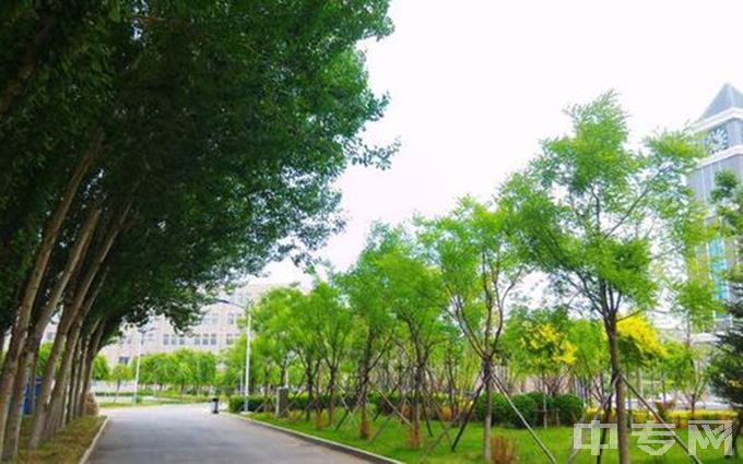 辽宁传媒学院-校园即景