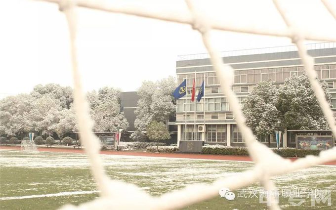 武汉海事职业学院-冬日海院