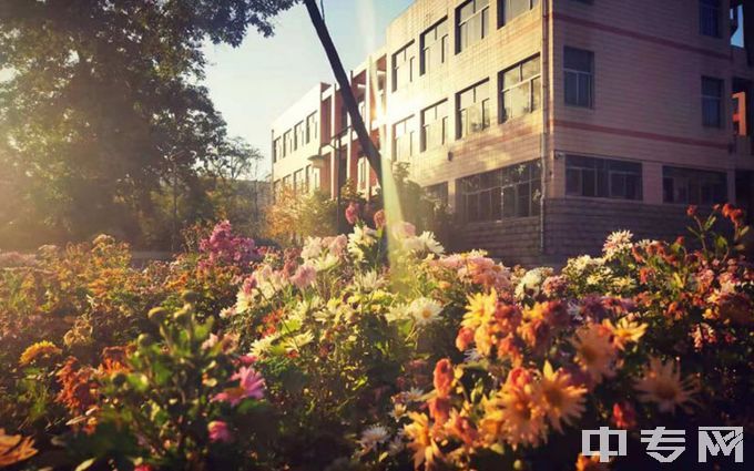 太原理工大学-花丛风景