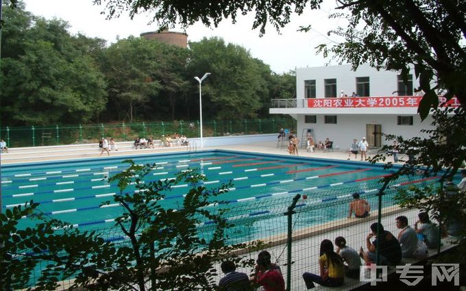 沈阳农业大学-游泳池内景