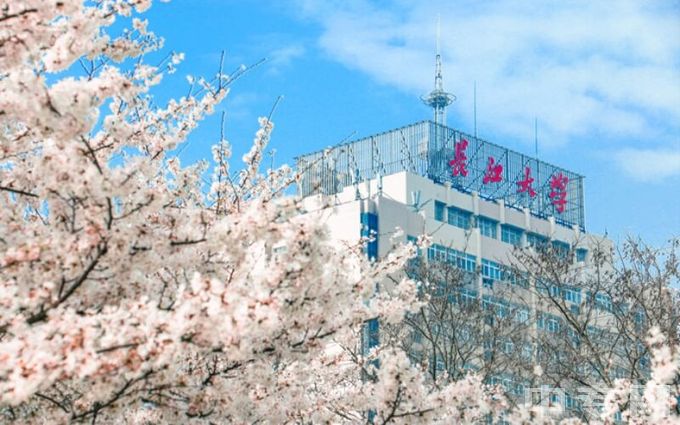 长江大学-樱花和主楼