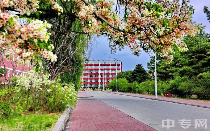 吉林职业技术学院-校园道路