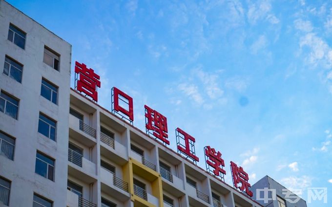 营口理工学院是公办还是民办学校？