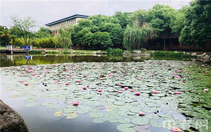 武汉城市学院-湖景