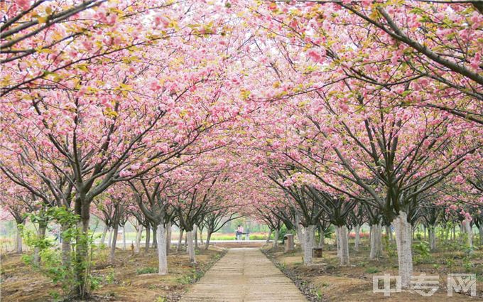 黄冈师范学院