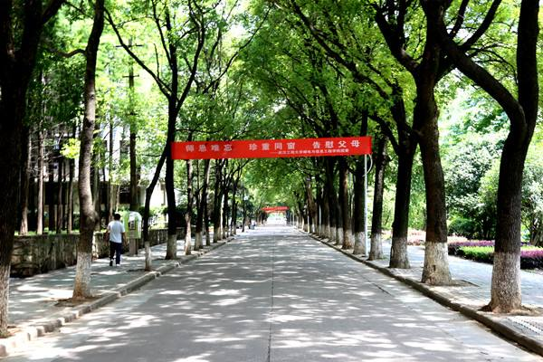 武汉工程大学-风景