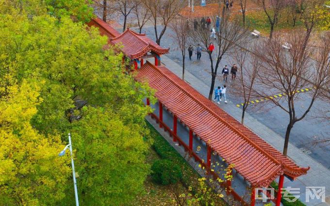 德州学院-道路