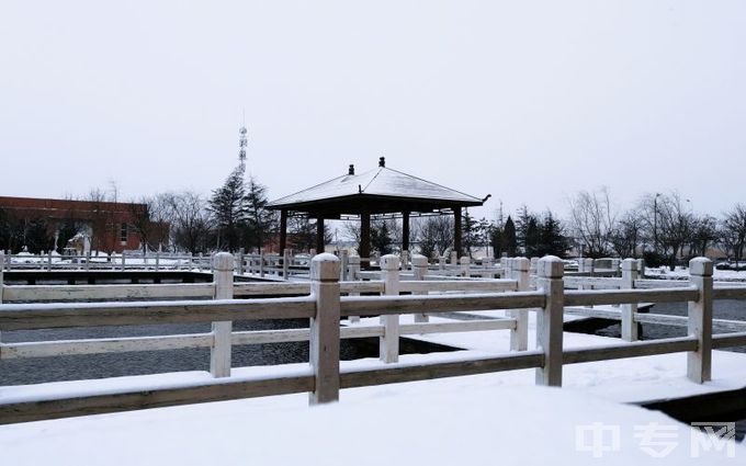 青岛工程职业学院-雪景