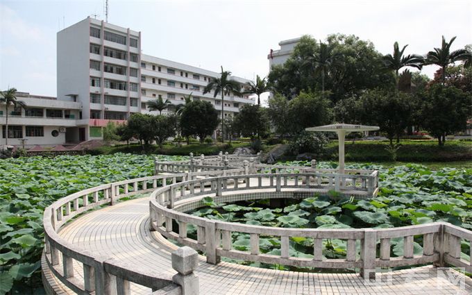 广西农业职业技术学院-学校一角