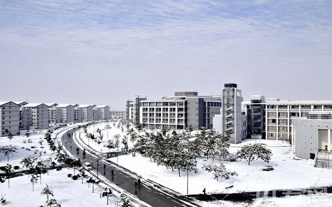 安徽大学-校园雪景
