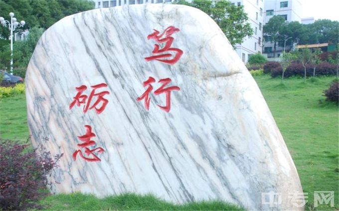 湖南现代物流职业技术学院-文化石