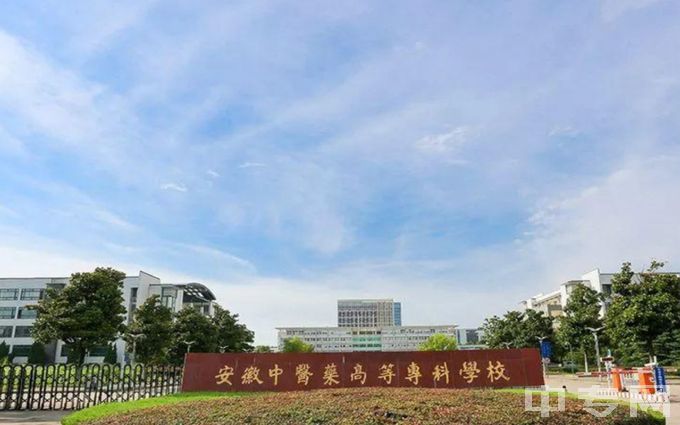 安徽中医药高等专科学校-门