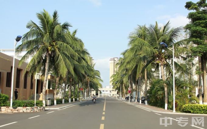 海南政法职业学院-校道