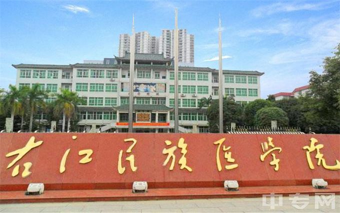 右江民族医学院-校门