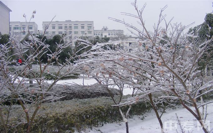 湖南环境生物职业技术学院-冬天的校园