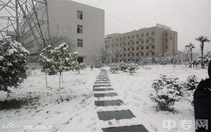 安徽警官职业学院-雪景