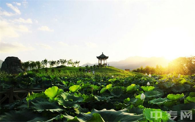 福建中医药大学-校园风光3