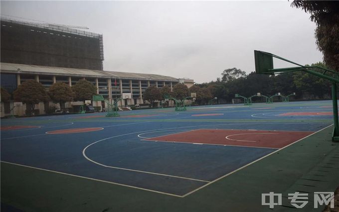 广西职业技术学院-篮球场1