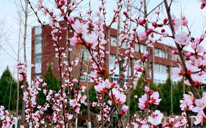 宁夏建设职业技术学院-校园环境（4）