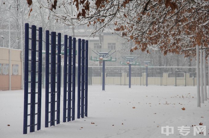 天津市宝坻区职业教育与成人教育中心-雪景