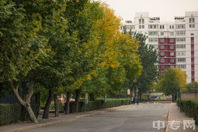 天津市建筑工程学校-校园秋景