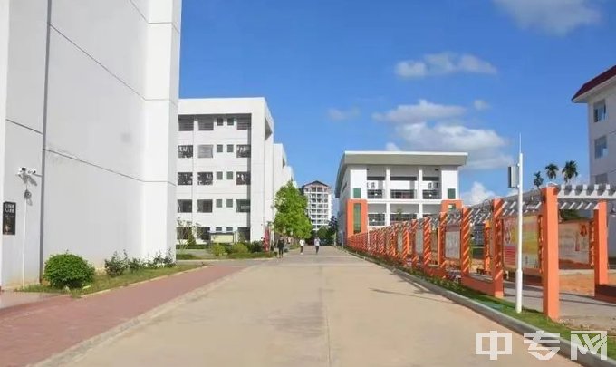 海南省农林科技学校-校道