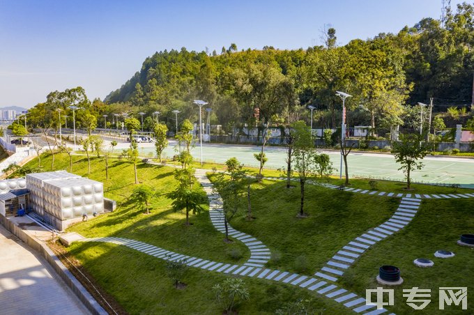 广西梧州商贸学校-校园绿化