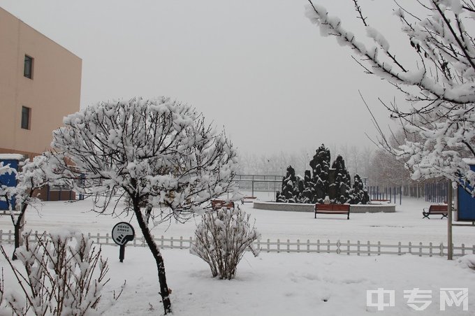 天津市宝坻区职业教育与成人教育中心-雪景3