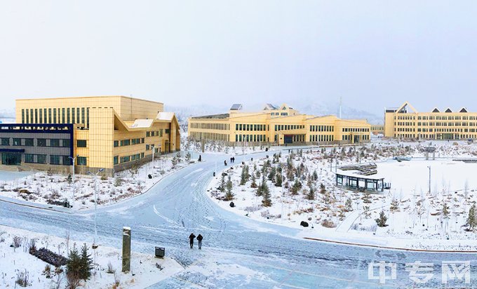 阿勒泰地区职业技术学校-雪景