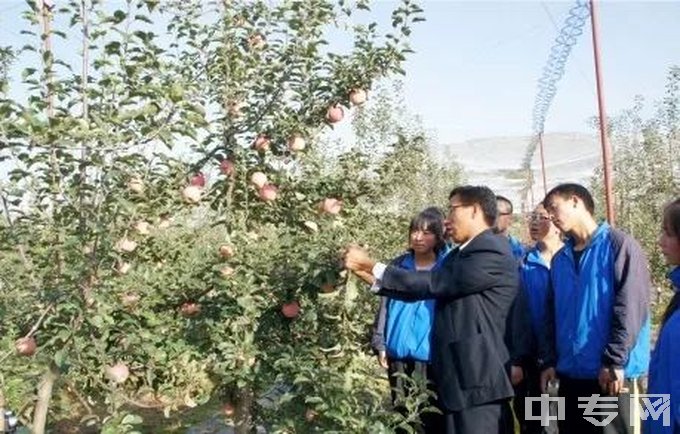 平凉工程技术学校-园林园艺实训教学