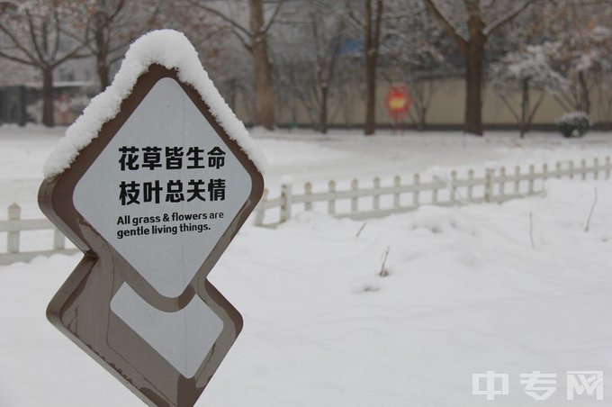 天津市宝坻区职业教育与成人教育中心-雪景2