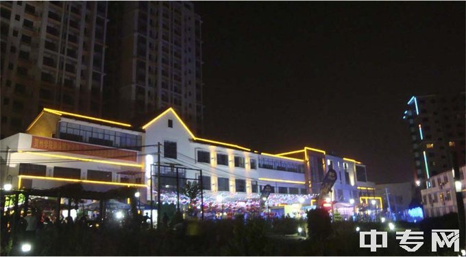 都安瑶族自治县职业教育中心-夜景