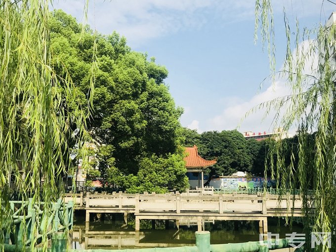 广西百色农业学校-校园风景
