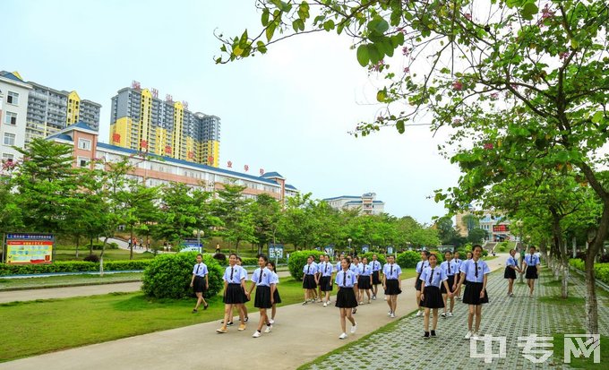 浦北县第一职业技术学校-美丽的校道