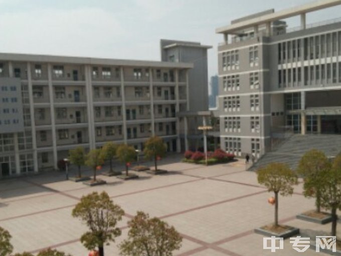 滁州市旅游商贸学校-广场