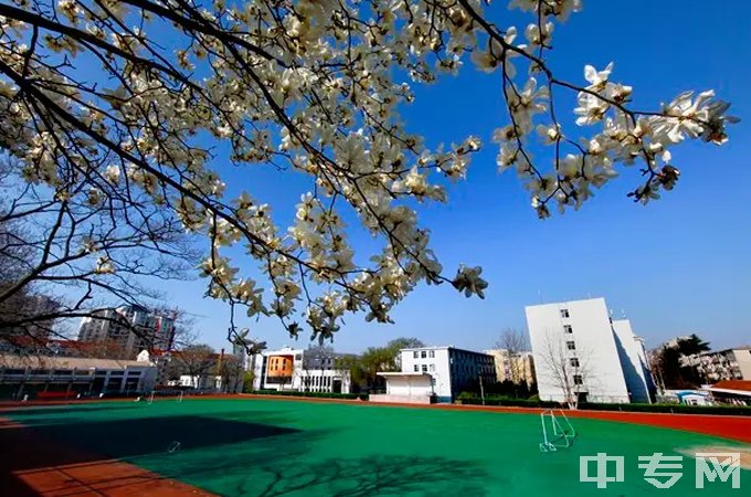 山东省青岛卫生学校-操场