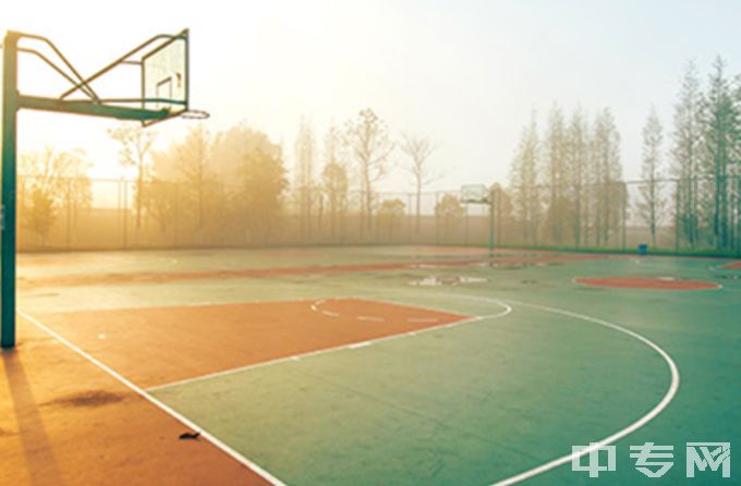 中国篮协阜新篮球学校-篮球场