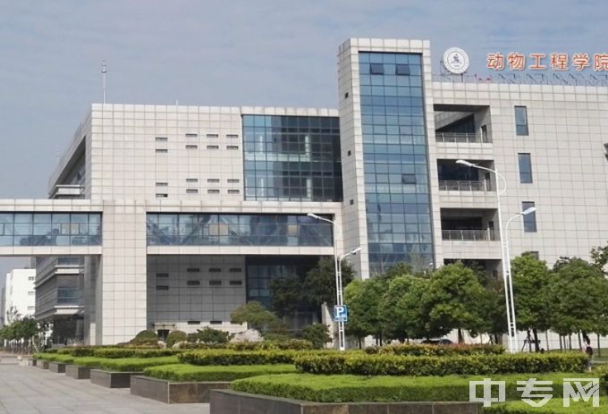 徐州生物工程职业技术学院中专-学校环境