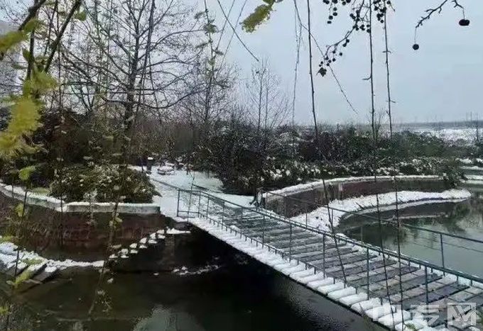 郑州绿业信息中等专业学校-冬景