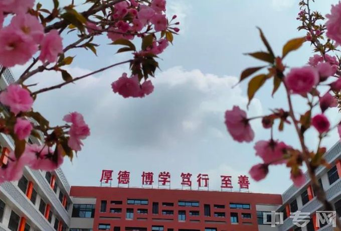 献县职业技术教育中心-学校风景