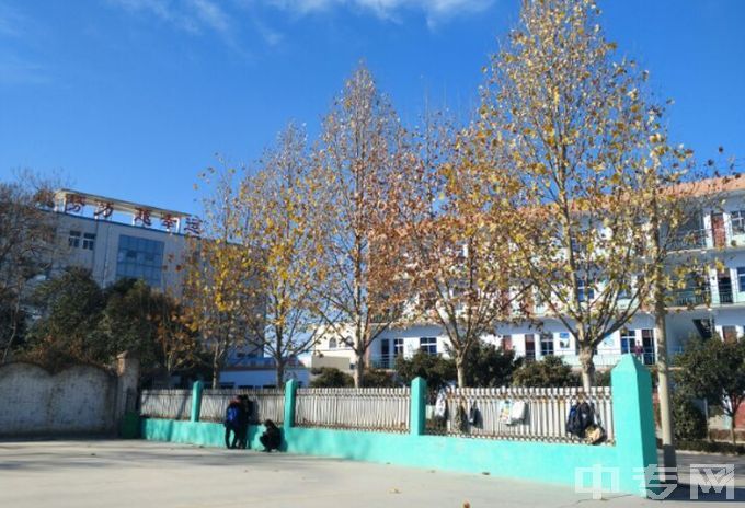 郑州电子信息中等专业学校-学校风景