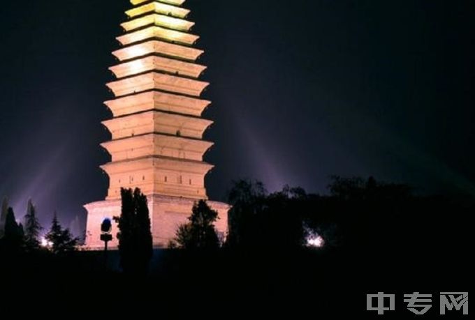 三门峡职业技术学院中专-夜景