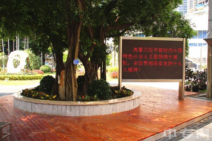 广州市幼儿师范学校-大榕树休憩区