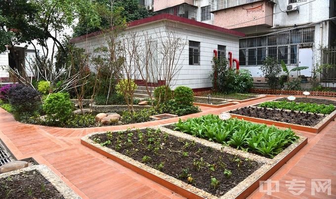 广州市幼儿师范学校-学生种植体验园全景