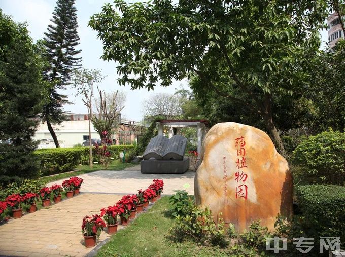 广州市医药职业学校-植物园2