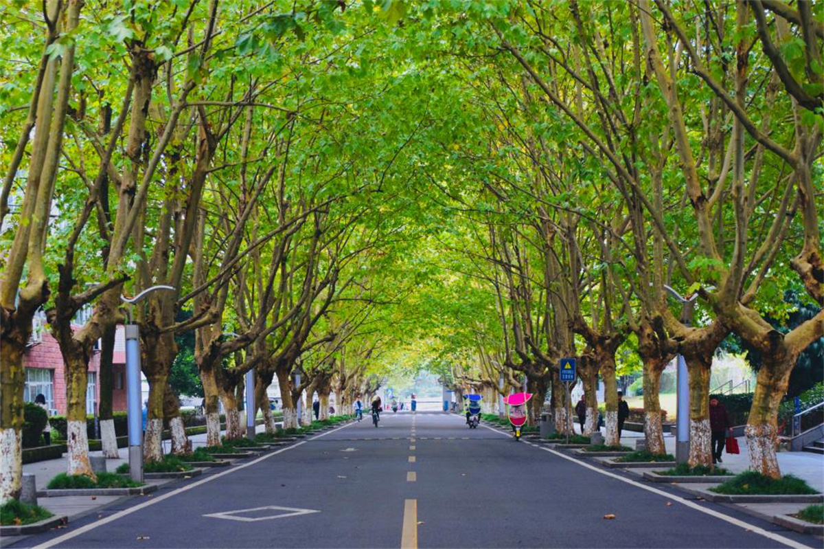 四川学历提升学校-农大校园