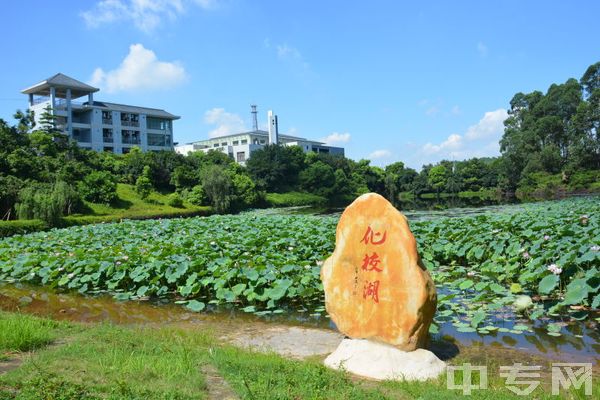 北京市东城区中央音乐学院鼎石实验学校-校园环境