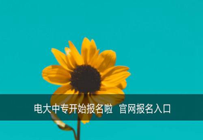 自己如何报考中专?可以不找机构报考吗?？